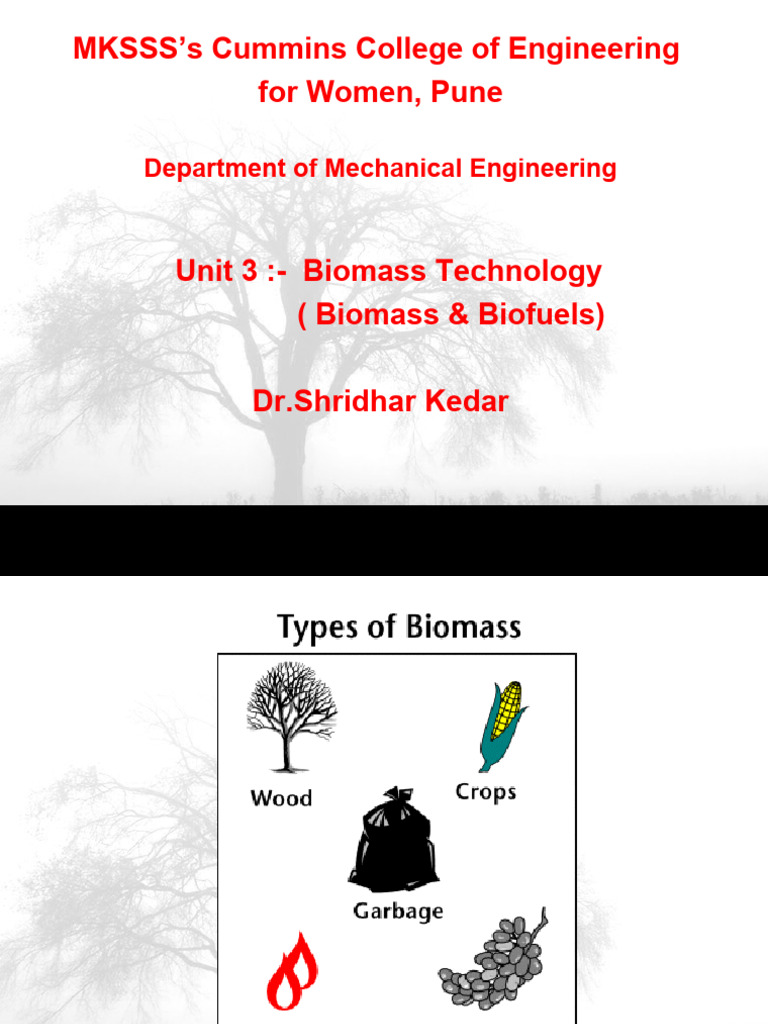 Biomass Technology and Biofuels Overview | PDF | Gasification | Biofuel