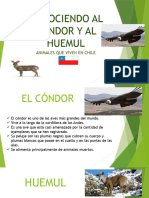 KINDER PPT Condor y Huemul E. Natural 2