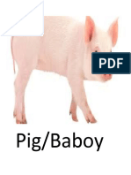 Pig/Baboy