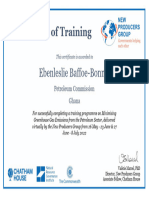 Ebenleslie Baffoe-Bonnie - Ghana - NPG Minimising Emissions Course Certificate