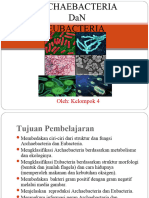 PP Archaebacteria Dan Eubacteria