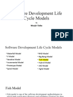 9 SDLC Model Fish Model
