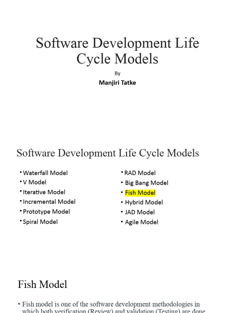 Fish Model in Software Development | PDF