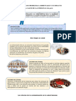 Reconocemos Los Problemas Ambientales y Su Impacto en La Salud de Las Personas