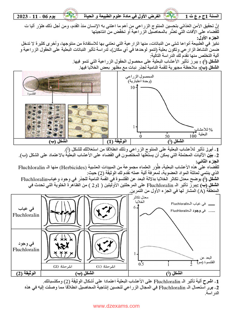 Dzexams 1as Sciences Naturelles 349610 | PDF