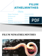 Filum NemathelminthesCTC