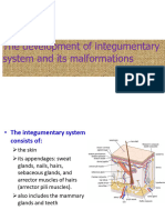 Integumantery STSMR