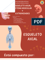 Esqueleto Axial, Sistema Muscular y Extremidades