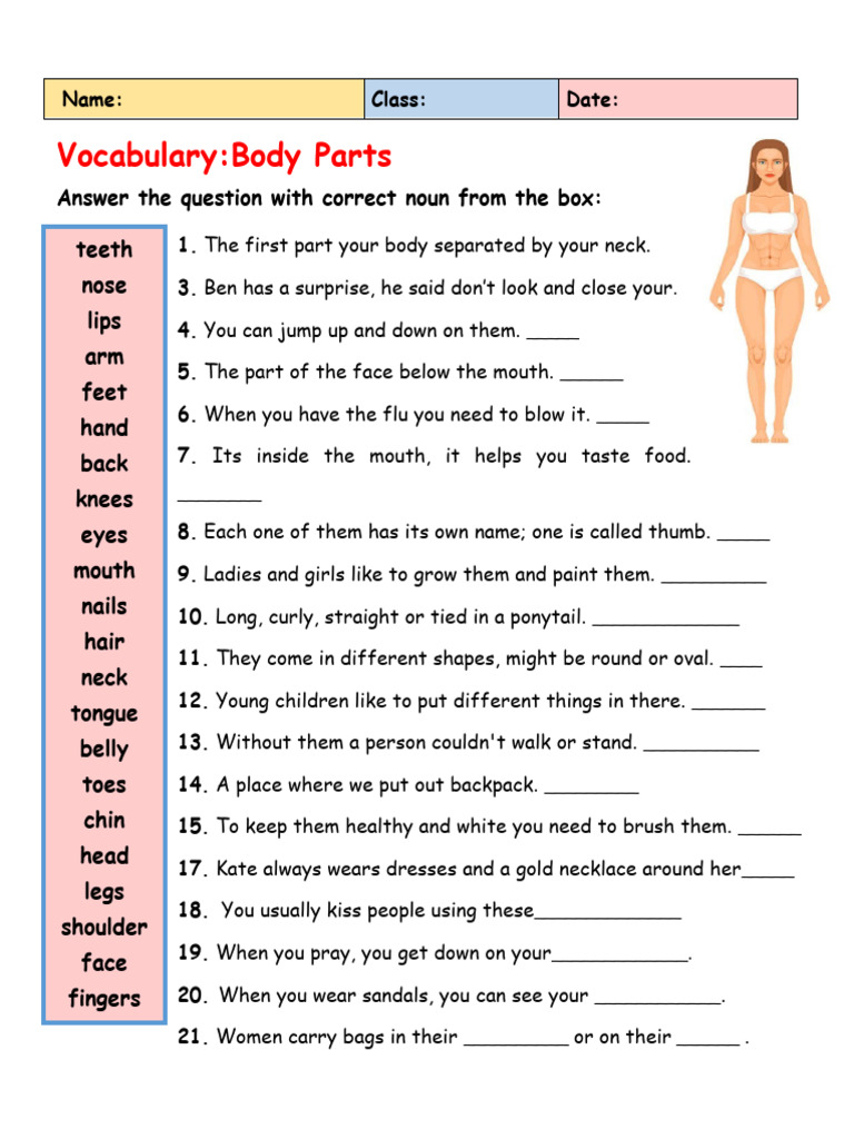 Body Parts Vocabulary Exercises | PDF