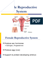 Femalereproductivesystem 120329125448 Phpapp02