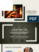 Combustibles y Combustion