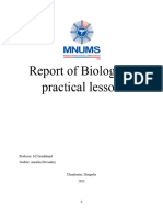 Report of Biological Practical Lesson