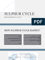 Sulphur Cycle