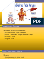 Bab Sistem Ekskresi Manusia 2021
