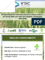 Apresentação Do Projeto - TCC I - Arroz de Terras Altas