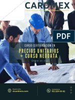 Curso PUNeodata Online en Vivo 2023