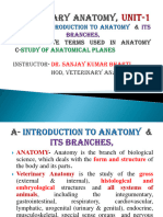 Introduction, Branches, Terms of Anatomy and Study of Anatomical Planes
