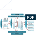 Mapa de Procesos