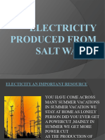 Presentation of Salt Water Electricity
