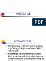 Vježba Xi