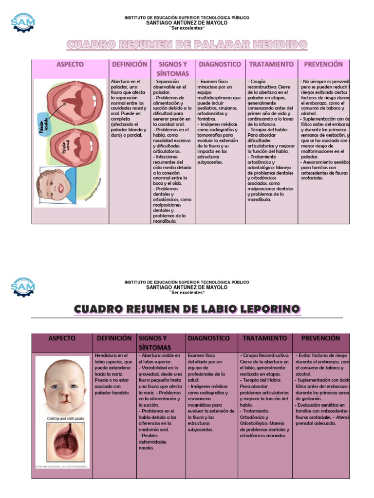 Cuadro Resumen de Paladar Hendido, Labio Leporino y Malformaciones