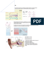 Fisiología Tema 4