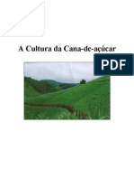 A História e Importância da Cultura da Cana-de-Açúcar no Brasil