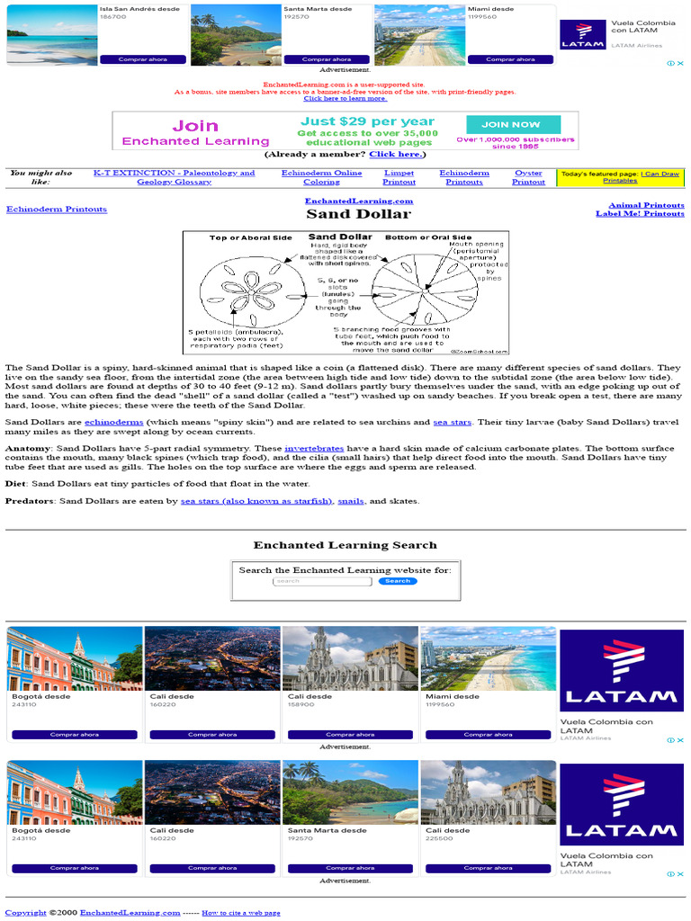 Sand Dollar Printout- Enchanted Learning Software