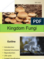 L4 Fungi