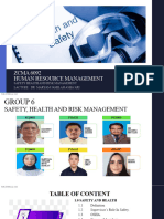Safety, Health & Risk Management Group. FINAL