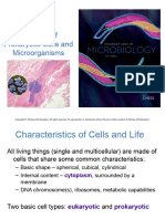 FFT1083 L2 - Bacteria