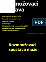 9 Rozmnozovaci Soustava