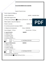 ACTA DE LEVANTAMIENTO DE CADAVER y NECROPSIA