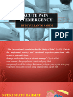 Dr. Budi, SP - An-TI Acute Pain in Emergency - SOPI 2023