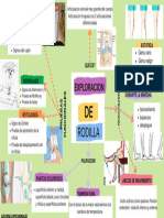 Exploracion de Rodilla