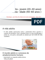 Vida Adulta