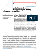 Mapping The Spatial Transcriptomic Signature of The Hippocampus During Memory Consolidation