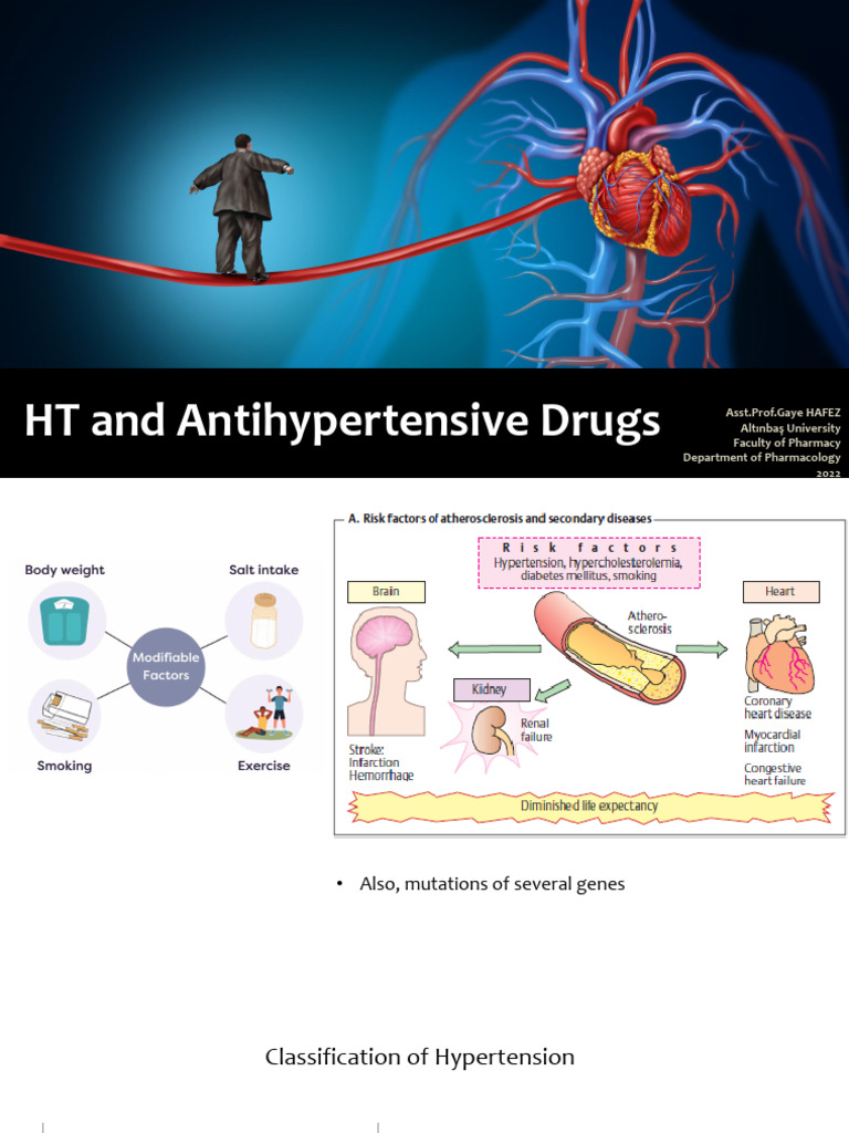 6.Z8sNyP 6 GHafez HT and Antihypertensive Drugs | PDF | Angiotensin ...