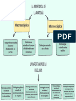 La Importancia de La Anatomía y Fisiología Humana - Yuniel Blas Perez