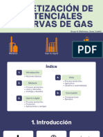 Monetización de Reservas de Gas - Grupo 8 PDF