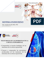 Clase 3 Endocrino HS