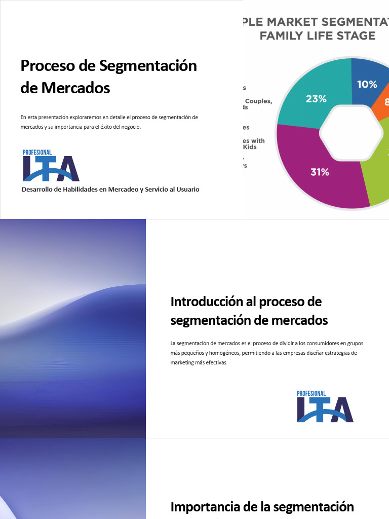 2 - Proceso de Segmentacion de Mercados | PDF | Marketing | Mercado ...