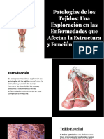 Wepik Patologias de Los Tejidos Una Exploracion en Las Enfermedades Que Afectan La Estructura y Funcion D 202310162230363a9u