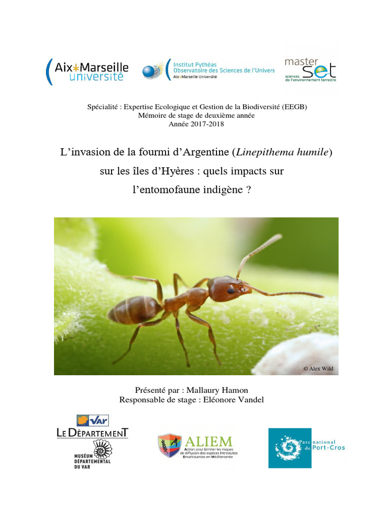 L'Invasion de La Fourmi D'argentine (Linepithema Humile) | PDF ...