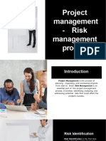 Project Management - Risk Management Process