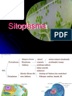 5-2023-Sitoplasma-Dinding Sel