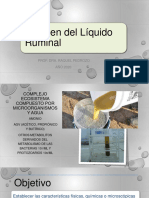 Liquido Ruminal 2020