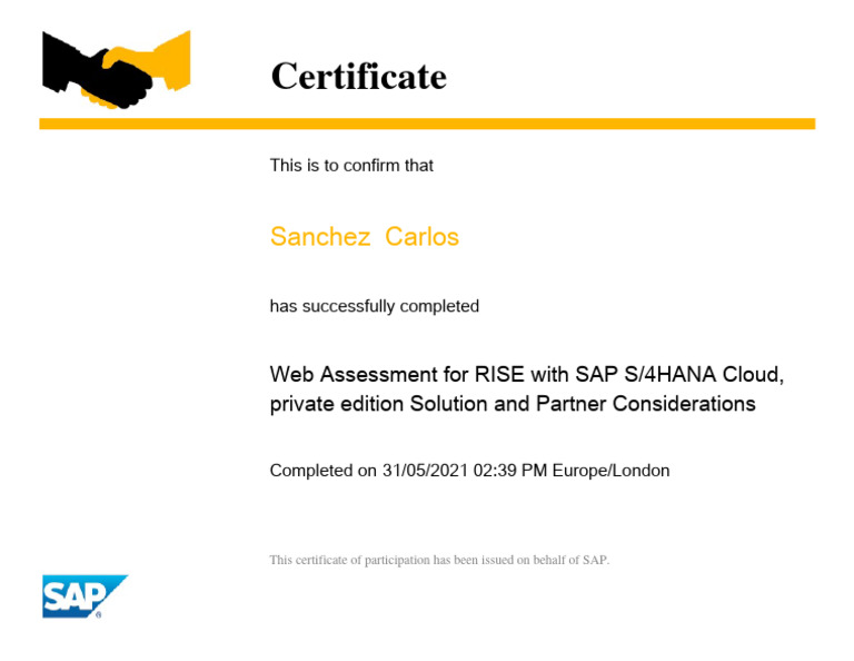 RISE with SAP S/4HANA Cloud Certification | PDF | Art | Computers