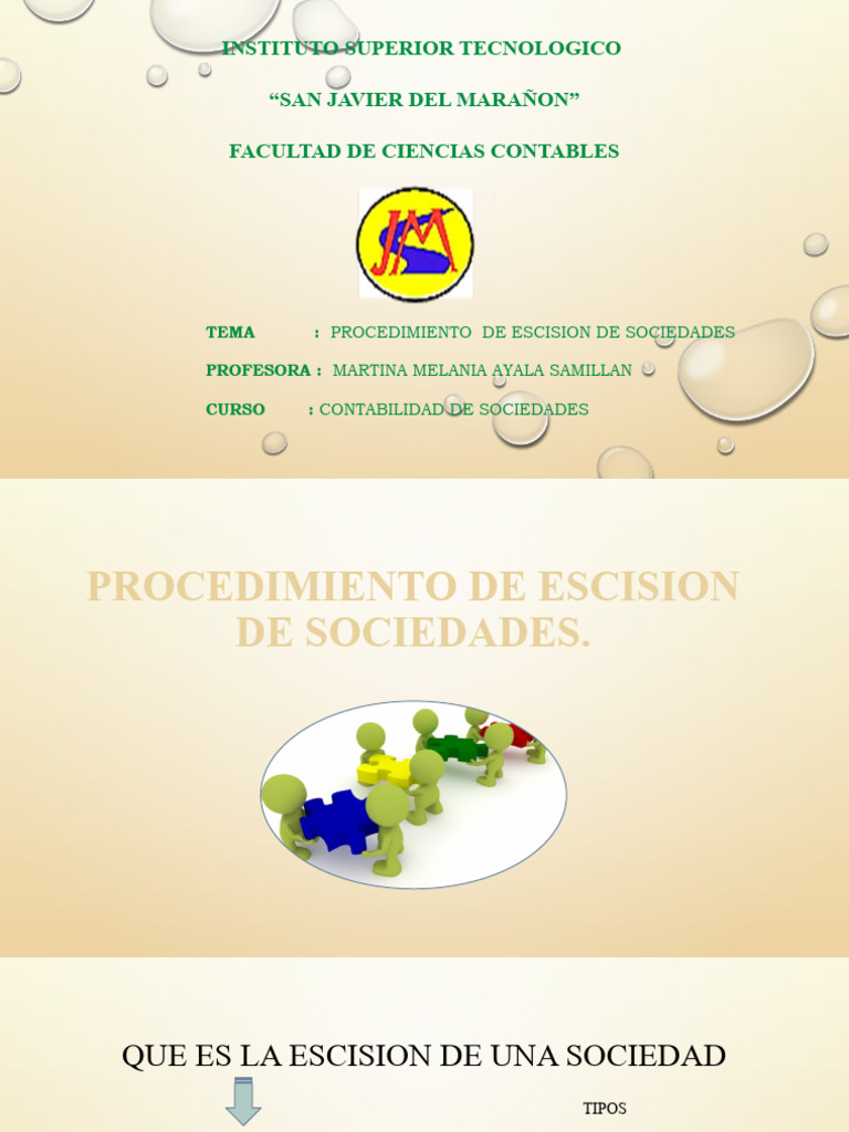 Procedimiento de Escisión de Sociedades | PDF | Sociedad | Contabilidad