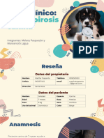 Caso Clínico, Leptospirosis Canina